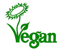 Vegane-Tanzschuhe